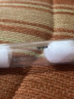 IMG_0591.jpeg