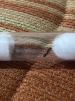 IMG_0590.jpeg