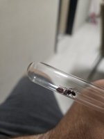 20250605_203443.jpg