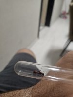 20250605_203439.jpg
