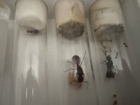 IMG_5038.jpeg