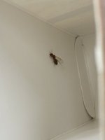 IMG_5837.jpeg