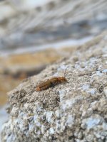 IMG_20250606_174413.jpg