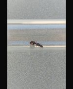IMG_0124.jpeg