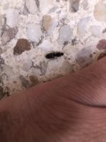 IMG_7315.jpeg