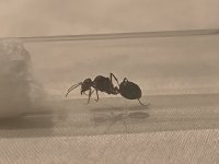 IMG_20250606_214257.jpg