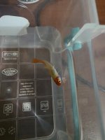 1000001725.jpg 1000001725.jpg