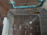 1000001726.jpg 1000001726.jpg