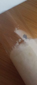IMG_20250606_230414.jpg