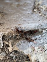 IMG_5128.jpeg