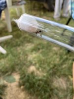 IMG_3727.jpeg