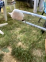 IMG_3728.jpeg