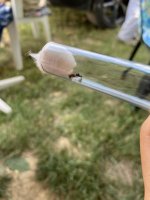 IMG_3729.jpeg