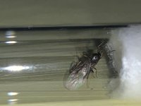 IMG_6627.jpeg