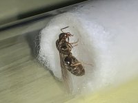 IMG_6614.jpeg
