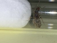 IMG_6634.jpeg