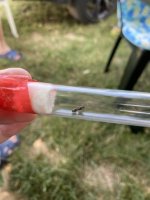 IMG_3732.jpeg