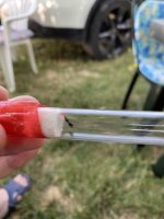IMG_3733.jpeg