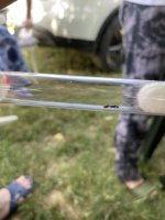 IMG_3734.jpeg