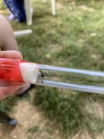 IMG_3731.jpeg