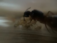 IMG_6672.jpeg