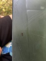 IMG_3038.jpeg