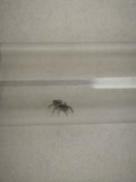IMG_20250607_132714.jpg