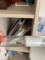 IMG_0154.jpeg