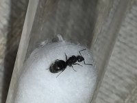IMG_6667.jpeg