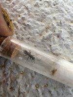 IMG_2841.jpeg