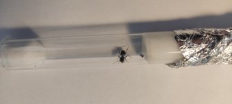 IMG_20250607_172053.jpg