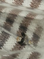 20250607_173730.jpg