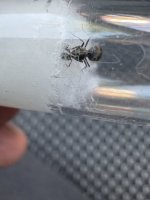 IMG_5141.jpeg