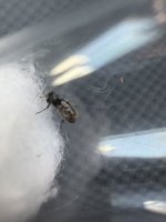 IMG_5140.jpeg