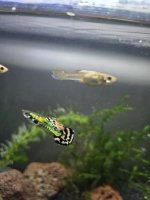 20250607_192123.jpg 20250607_192123.jpg