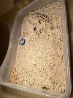 IMG_0628.jpeg