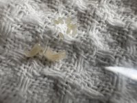 IMG_4775.jpeg