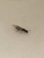 IMG_6235.jpeg