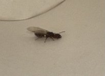 IMG_6230.jpeg