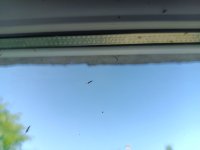 IMG_20250608_111641_768.jpg