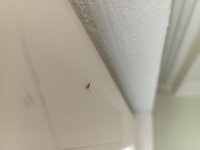 IMG_20250608_111653_721.jpg