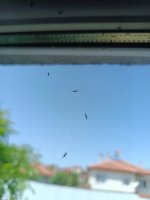IMG_20250608_111708_051.jpg