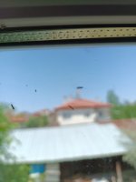 IMG_20250608_111722_081.jpg