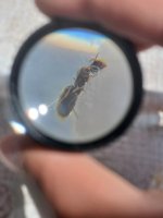 20250608_120419.jpg