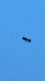 20250608_123629.jpg