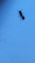 20250608_123621.jpg