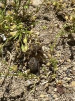 IMG_0655.jpeg