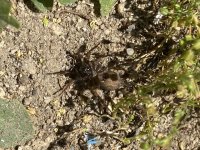 IMG_0656.jpeg