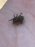 IMG_0659.jpeg