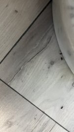 IMG_3272.jpeg